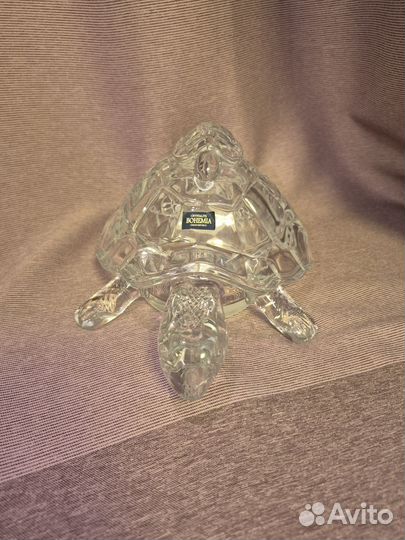 Черепаха bohemia