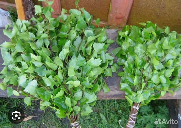 Банные веники