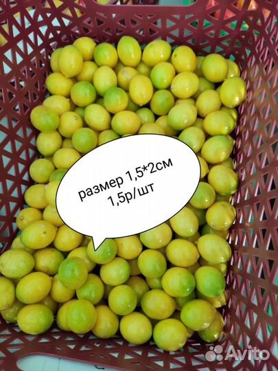 Искусственные фрукты, ягоды, овощи из пенопласта