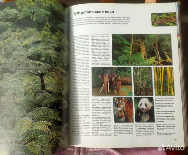 Энциклопедический иллюстрированный словарь