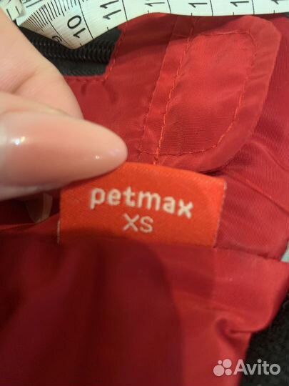 Одежда для чихуахуа