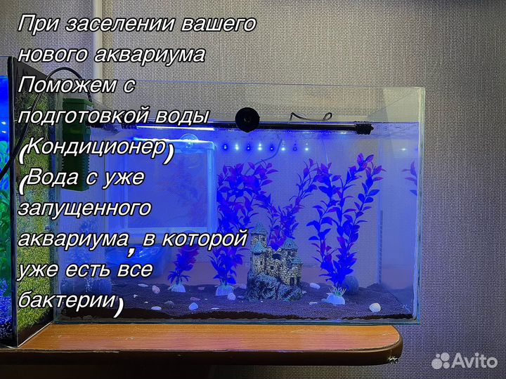 Аквариум 70 литров полный комплект