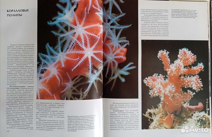 Книга Мир животных