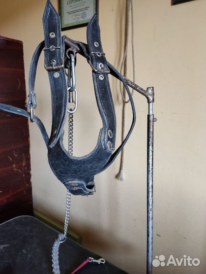 Шлейка кожаная для большой собаки и поводок