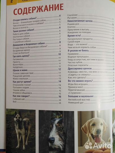 Энциклопедия для детей Собаки