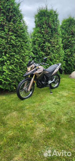 Racer ranger RC300-GY8