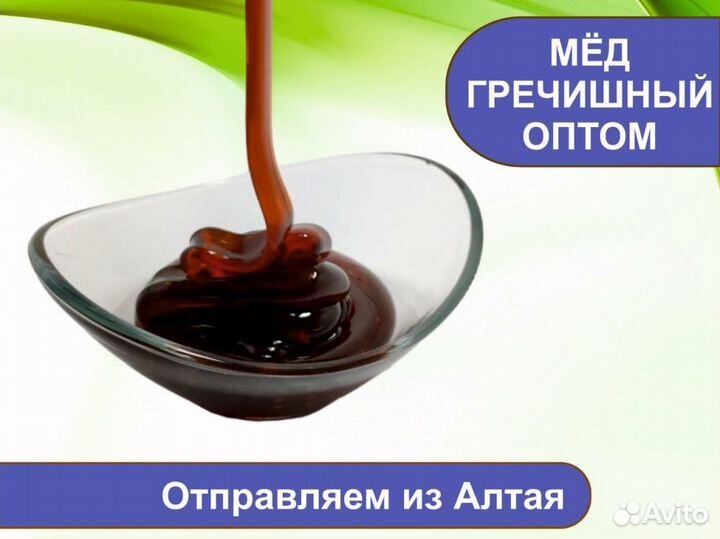 Алтайский мед 2023 г (опт.)