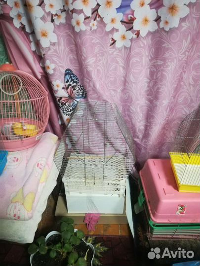 Клетка для птиц бу
