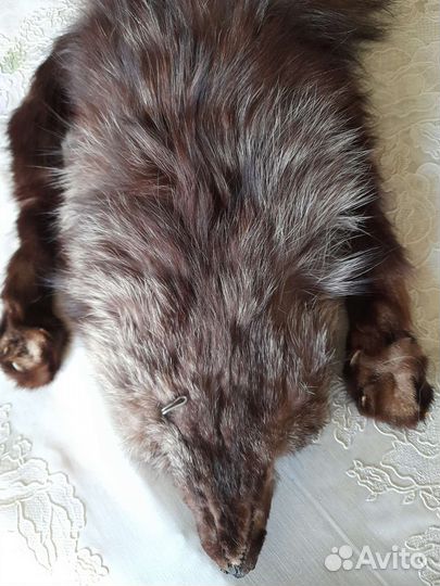 Шкурки лисиц