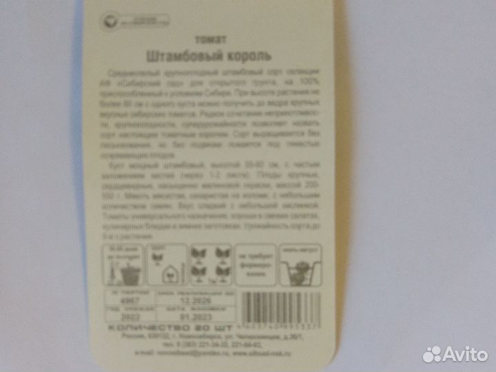 Рассада помидор