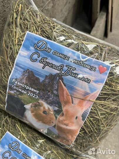 Сено для грызунов