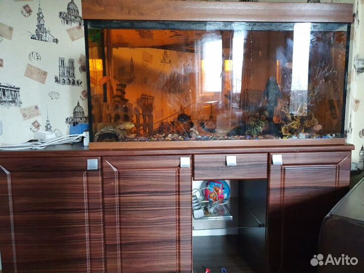 Аквариум с рыбками 300л