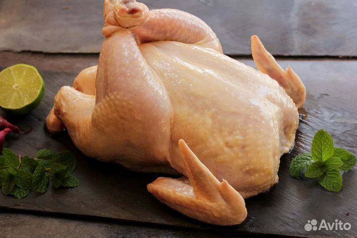 Продам мясо бройлера