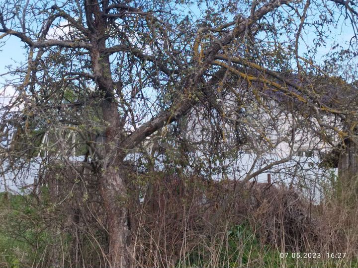 Участок 12,6 сот. (ИЖС)