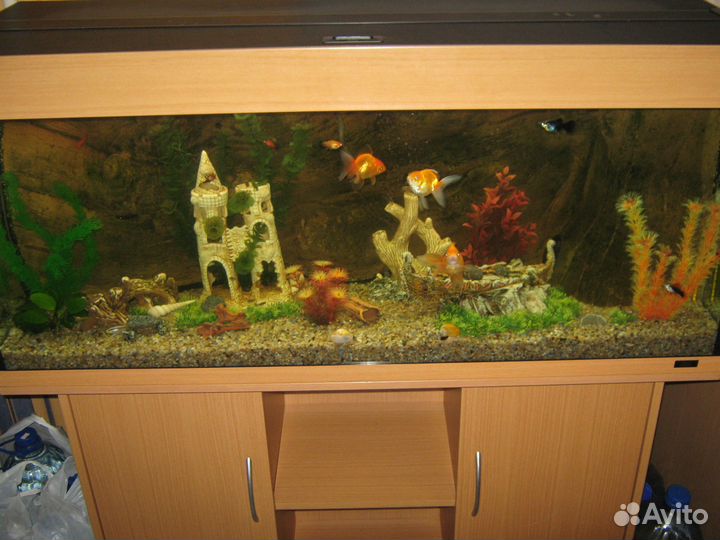 Обслуживание аквариумов