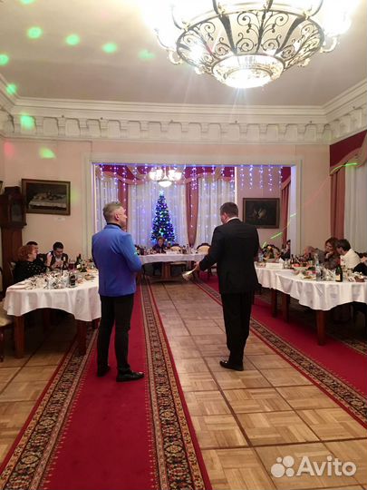 Ведущий специалист,тамада поющий