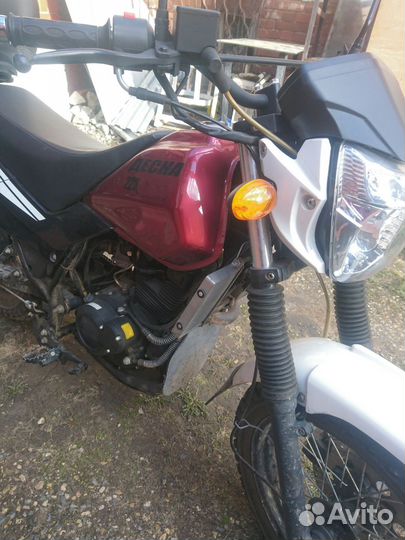 Стелс Десна Фантом 220