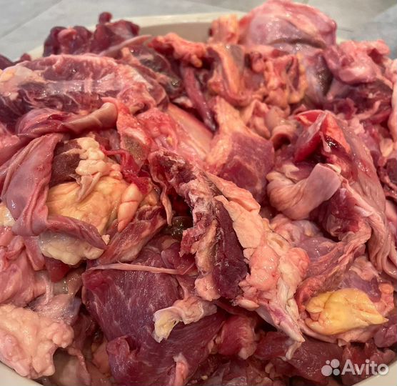 Мясная обрезь для собак говяжья