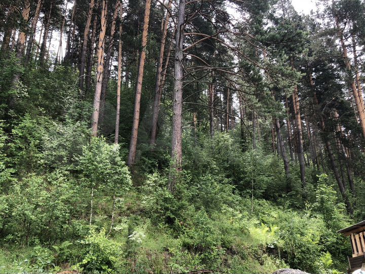 Участок 7,3 сот. (СНТ, ДНП)