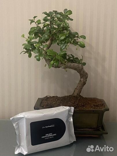 Влажные салфетки