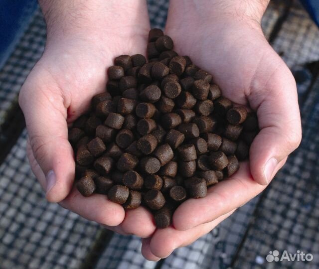 Корм для осетра и прочих видов рыб