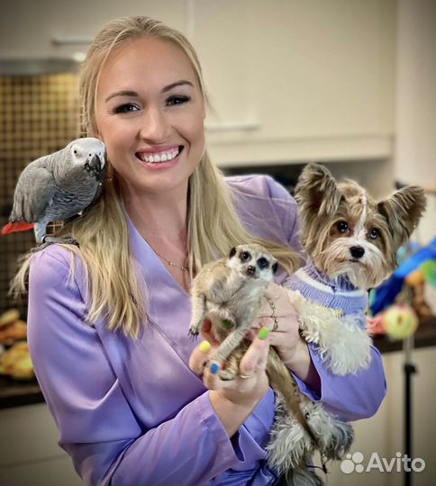 Передержка животных, птиц. рептилий