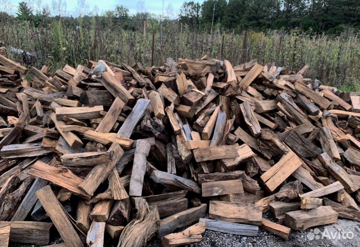 Дрова образцовые