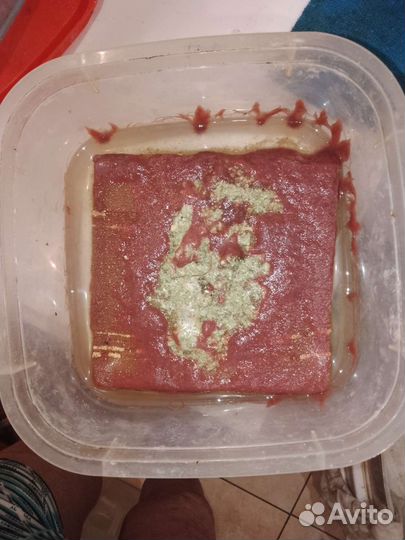 Живой корм для аквариумных рыбок