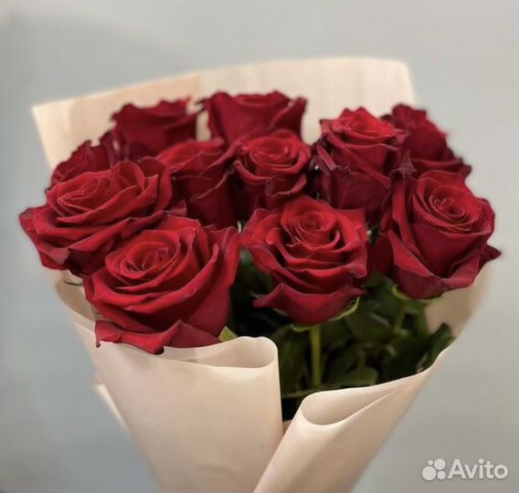 Роза красная эквадор