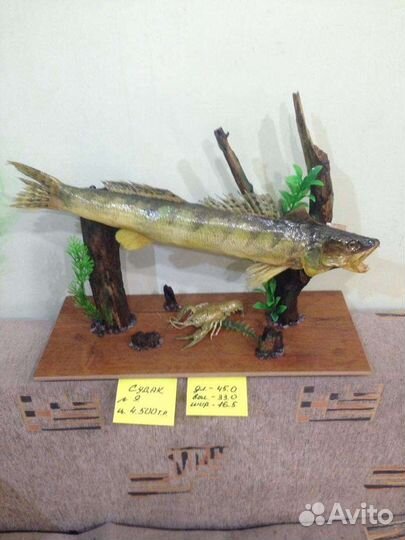 Подарки, сувениры, чучело судак