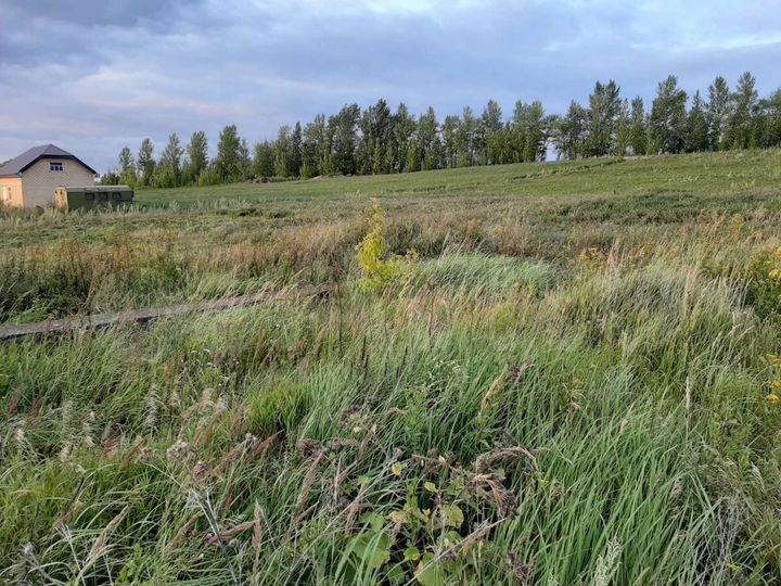 Участок 20 сот. (ИЖС)