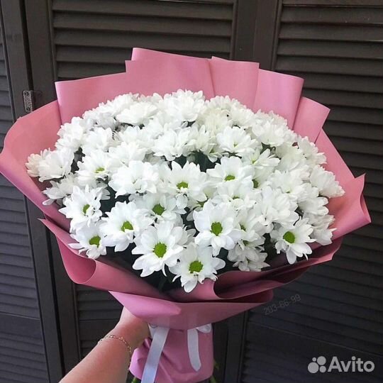 Хризантема кустовая