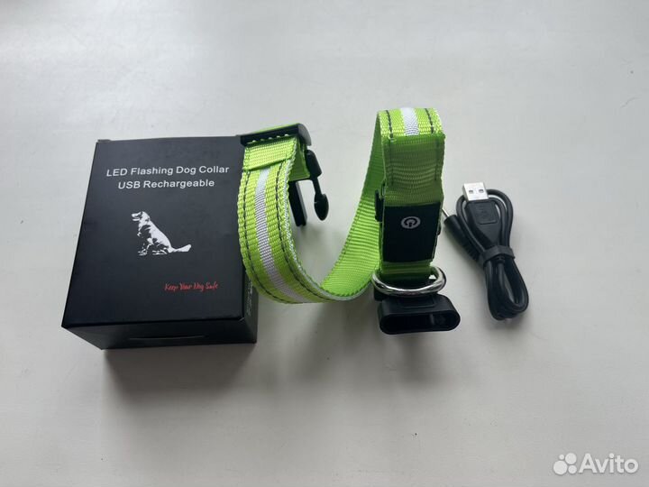 Светящийся ошейник