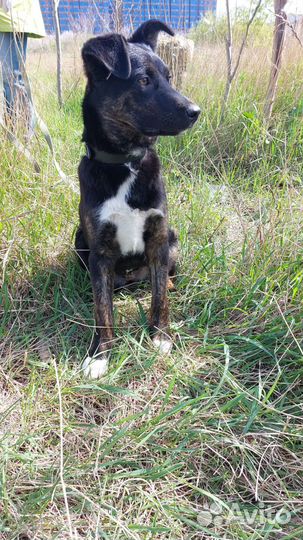 Очень нужен дом