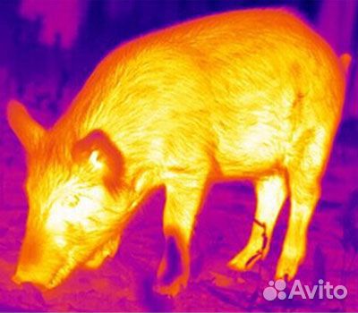 Тепловизионный прицел iRay Rico RH 50 LRF