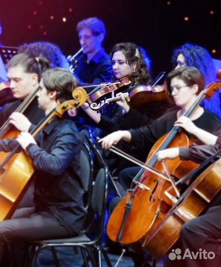 Репетитор по музыке (скрипка,альт,нотная грамота)