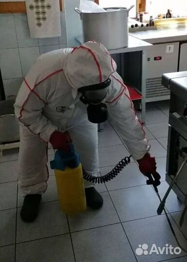 Средство для Уничтожения клопов травля тараканов дезинфекции