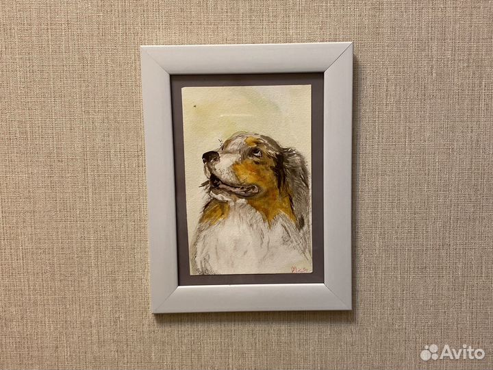 Акварель, миниатюра « Аусси»