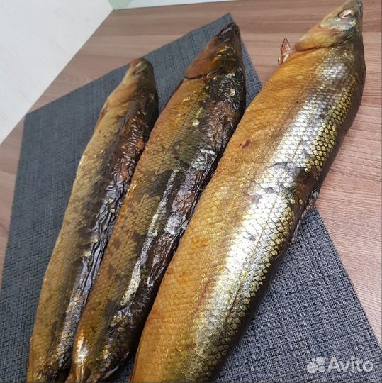 Коптильня холодного и горячего копчения, сушка/вял