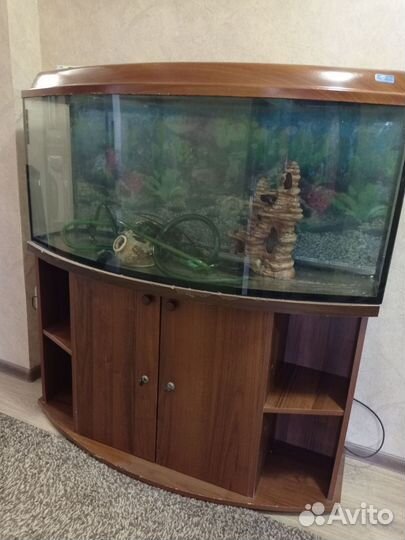 Аквариум с тумбой 250 л. бу
