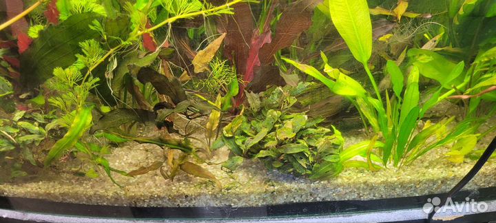 Грунт для аквариума