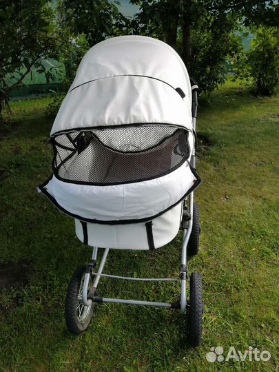 Коляска Maxima stroller b&e
