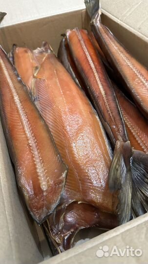 Продам кету холодного копчения