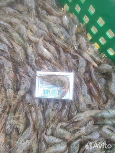 Креветка Азовская Свежемороженая 2-3 см