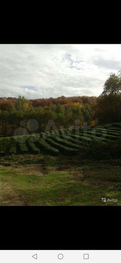 Участок 5 сот. (СНТ, ДНП)