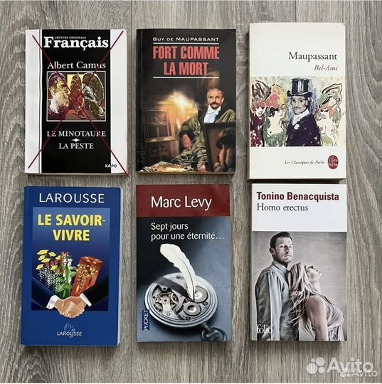 Книги на французском