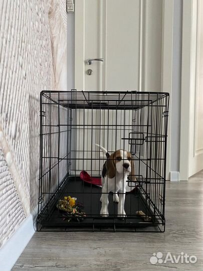 Клетка для собак и кошек. От производителя