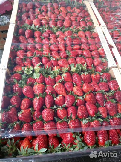 Доставка фруктов, овощей и ягод