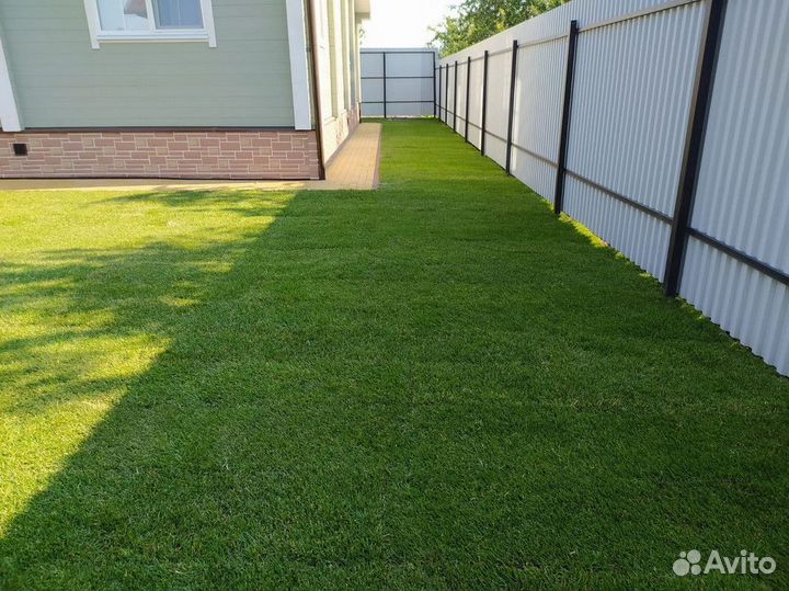 Рулонный газон с доставкой