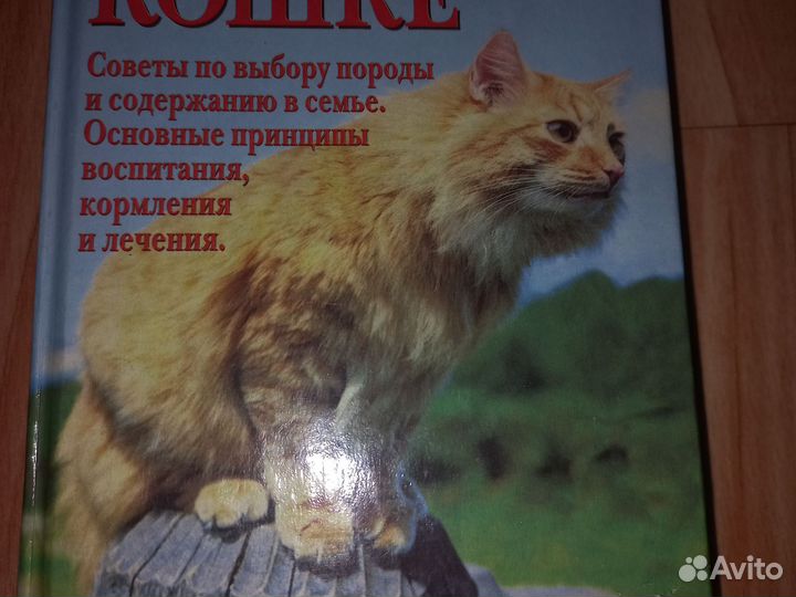 Книга о кошках